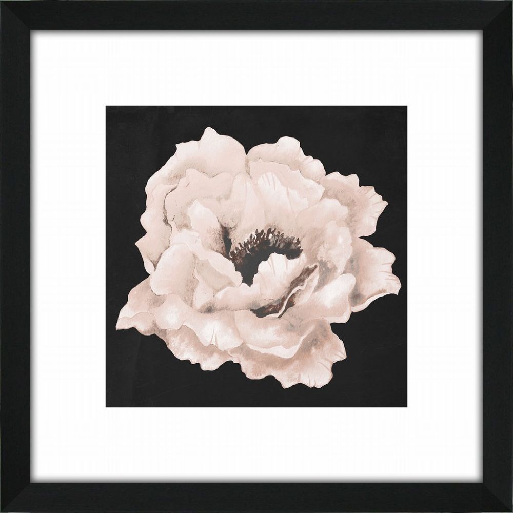 Paintings - Pink Flower On Black I