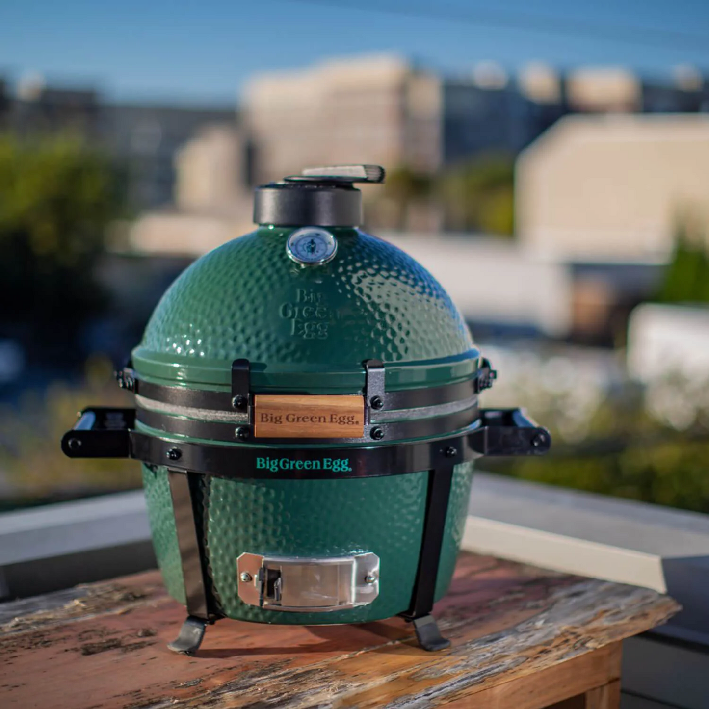 BIG GREEN EGG - MiniMax Big Green Egg Original Kit - 389913