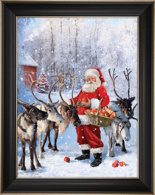 Variety of Christmas Canvas Print