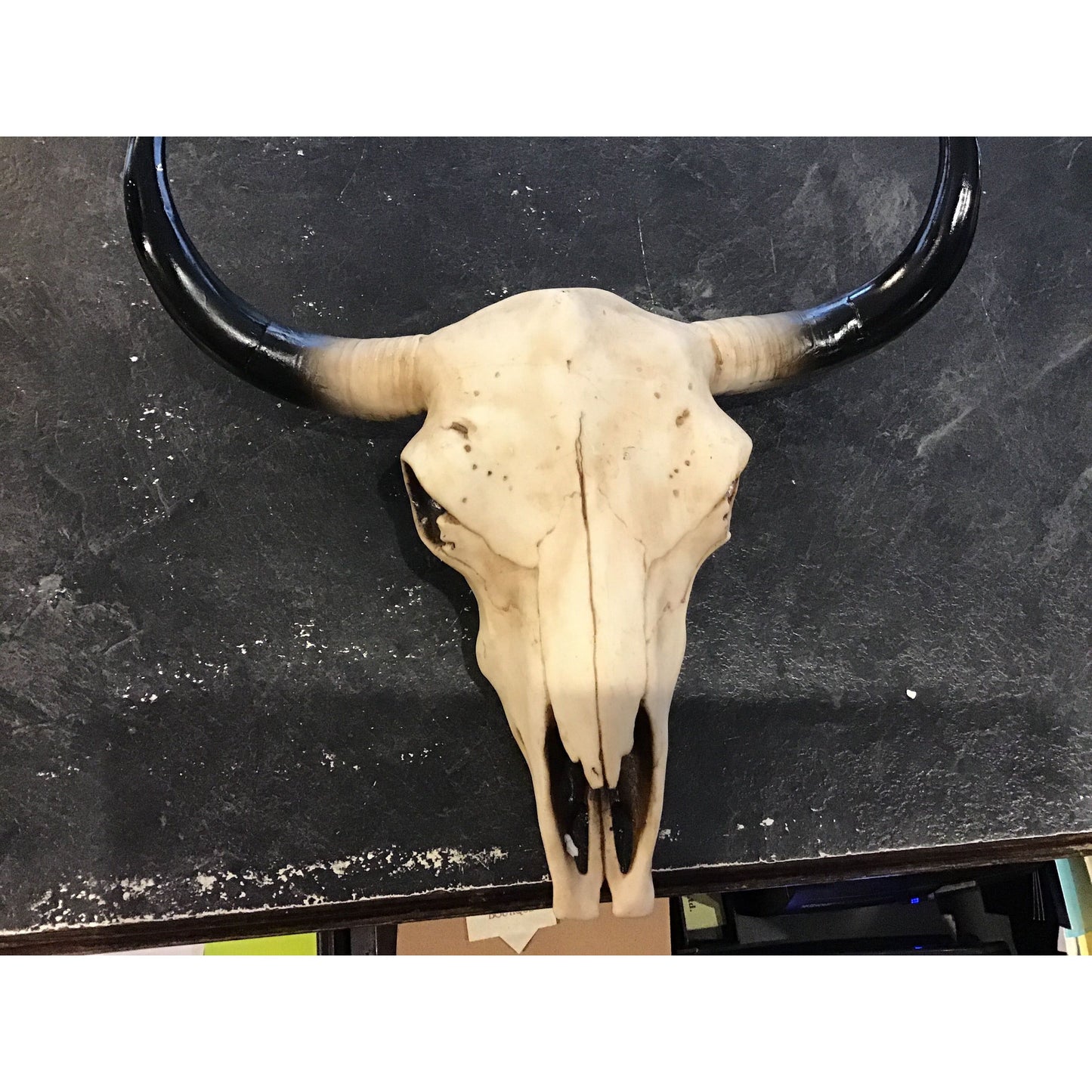 Decor - Skull