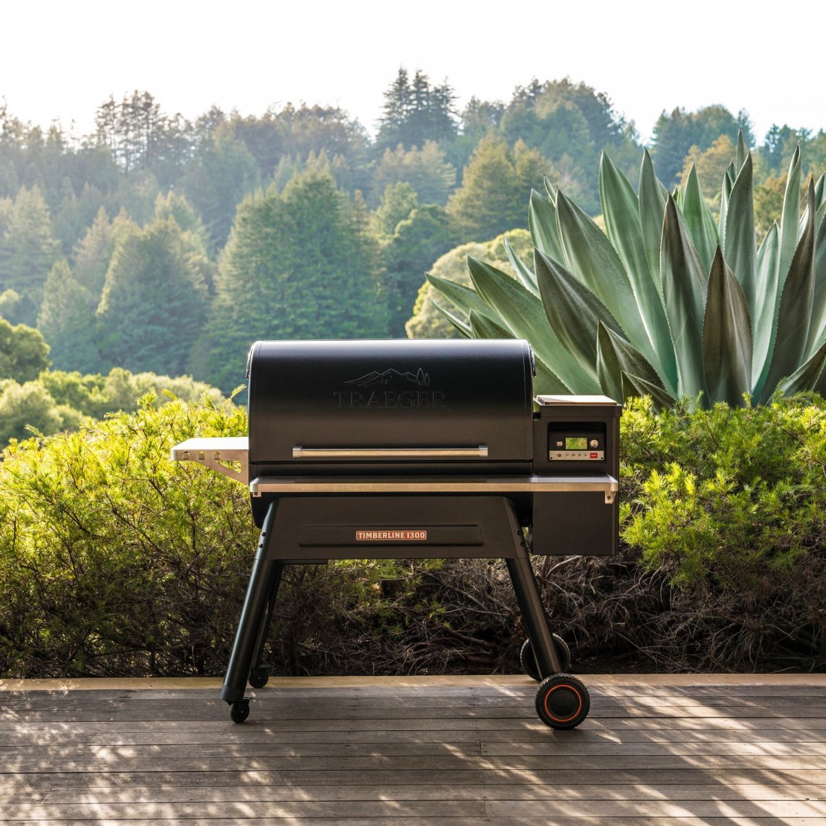 Traeger Pellet Grills