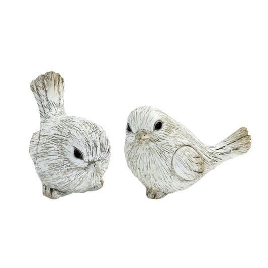 Assorted Birds