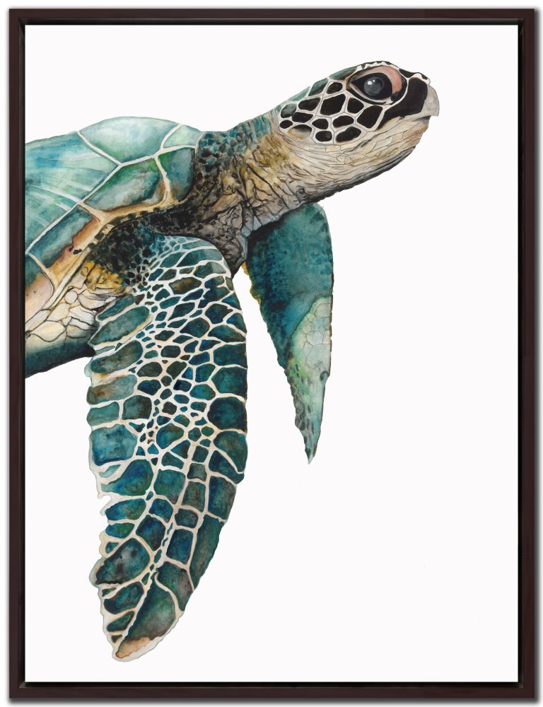 Great Sea Turtle Canvass Art
