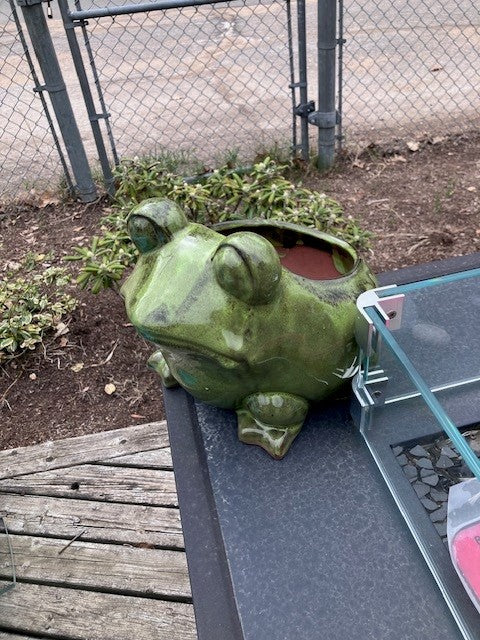 Ceramic Frog Planter