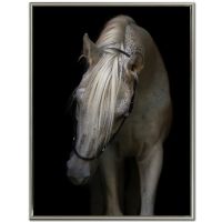 Paintings - Mystical Horse