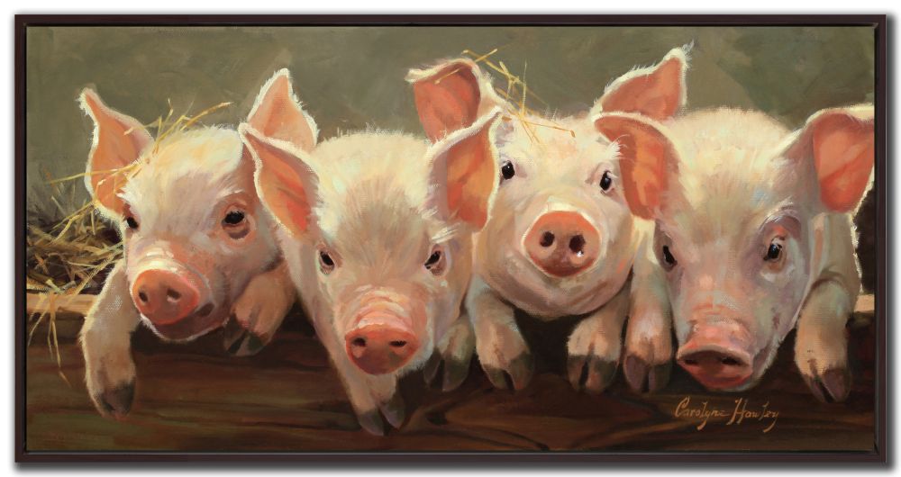 The Big Pig Squeeze Canvas Art