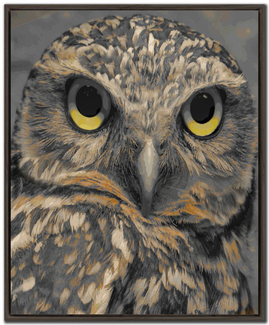 Owl Eyes Canvas Art