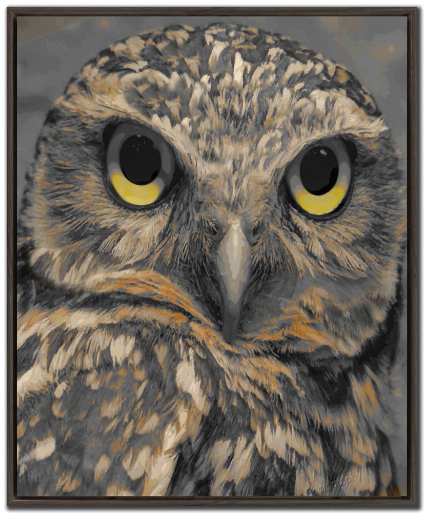 Owl Eyes Canvas Art