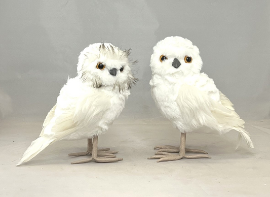 Standing Feather Owl