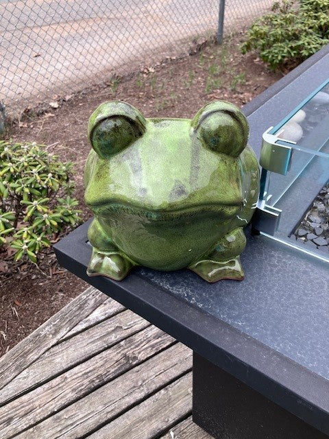 Ceramic Frog Planter