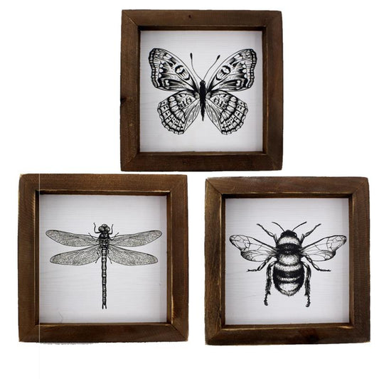 Decor - Insect Prints - Set of 3
