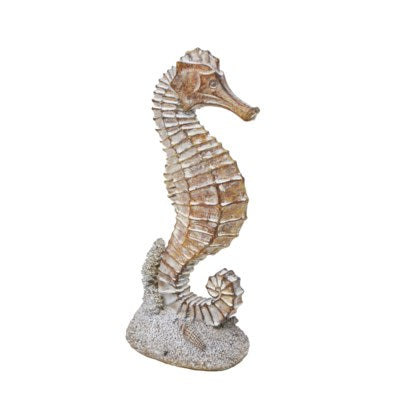 Seahorse