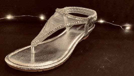 Sandals - Taxi - Silver Mesh Sparkly