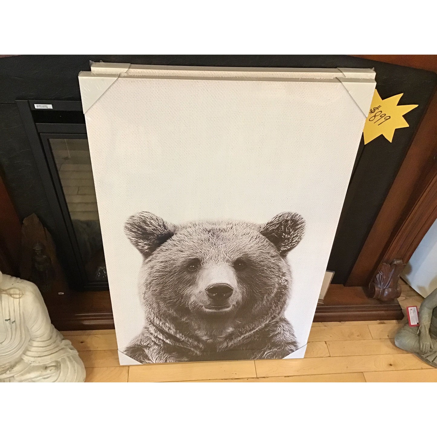 Wall Art - Bear