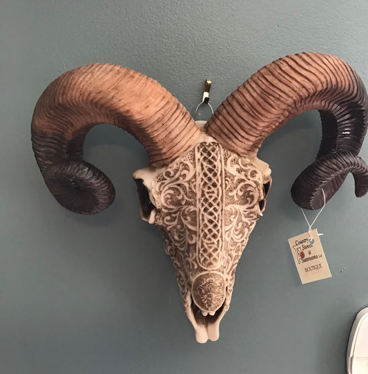 Skull - Carved Ram